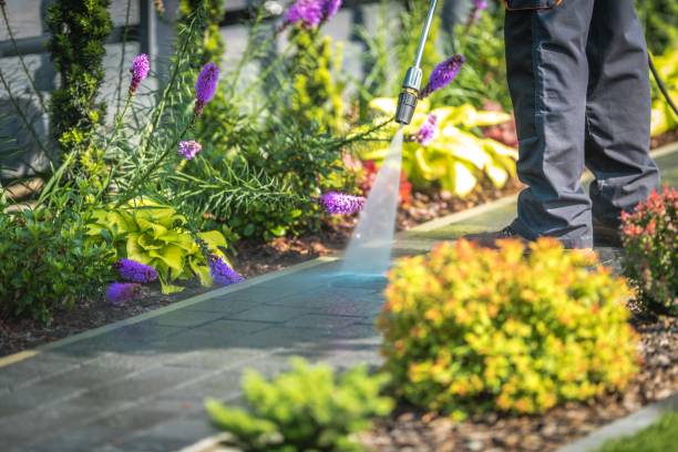 Trusted Grottoes, VA Pressure Washing Experts